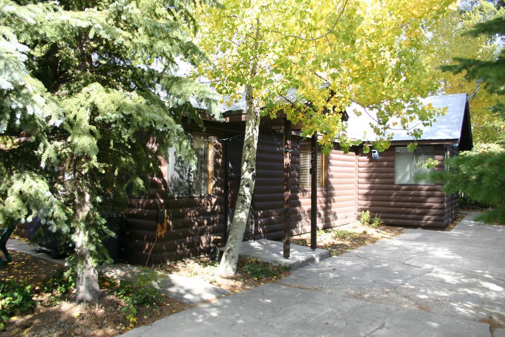 Yellowstone Wildlife Cabins West Yellowstone Eksteriør billede