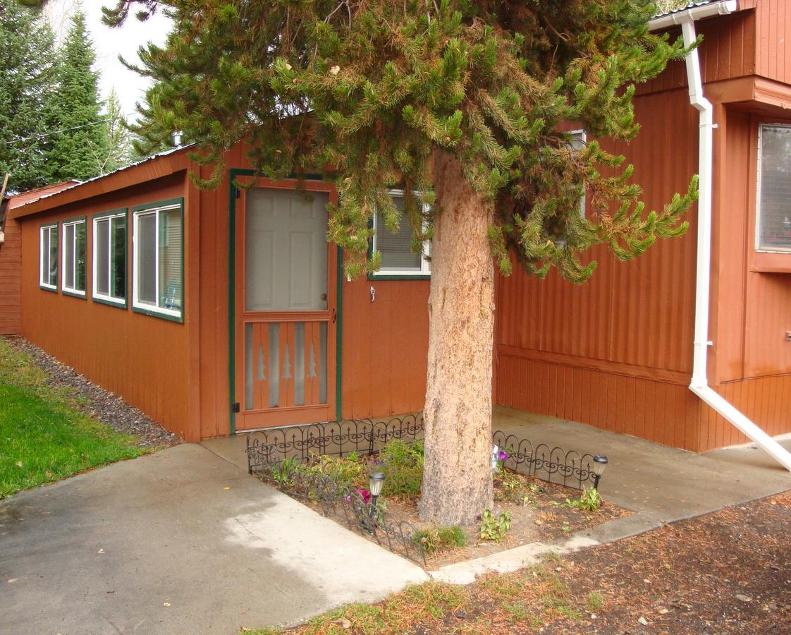 Yellowstone Wildlife Cabins West Yellowstone Eksteriør billede